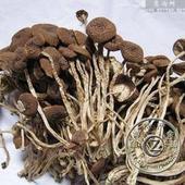 ������6100Ԫ/��