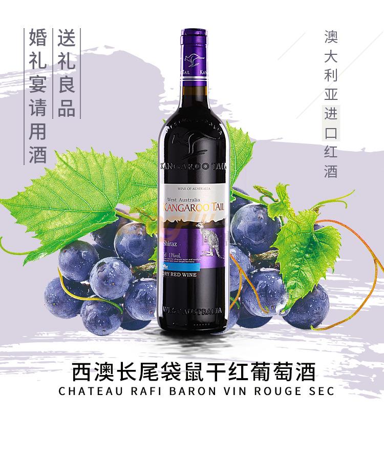 袋鼠A08-1.jpg 袋鼠A08-1.jpg