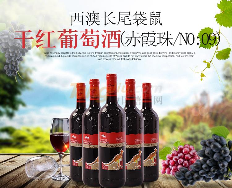 袋鼠赤霞珠-1.jpg 袋鼠赤霞珠-1.jpg