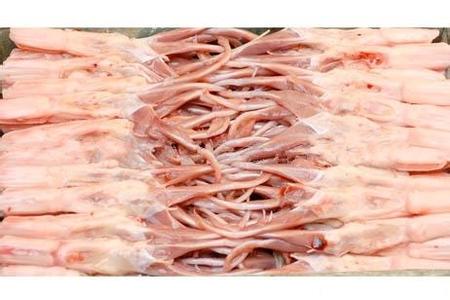 批發馬來西亞3160墨魚頭