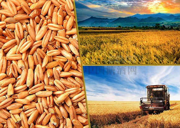 1659524888155.jpg 1659524888155.jpg