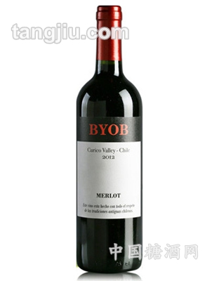 智利碧尤堡傳統梅洛干紅葡萄酒