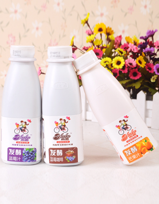 雨露發酵果汁-純植物發酵飲料