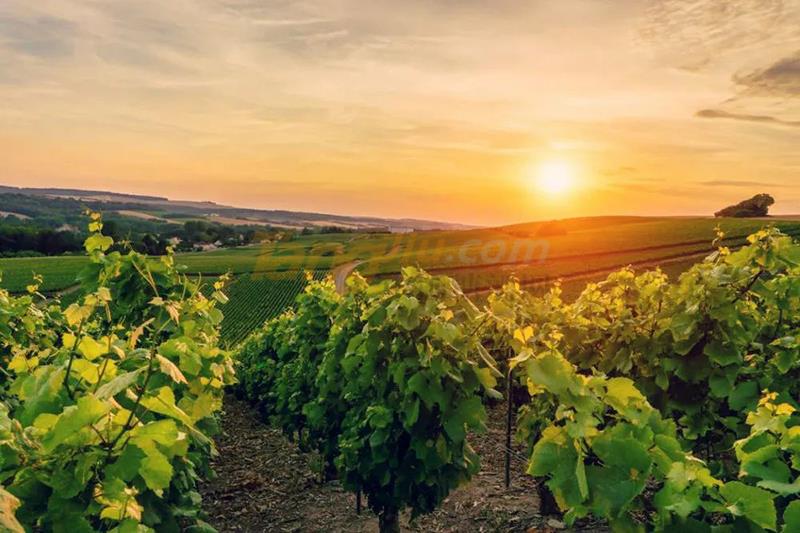 640 (21).jpg 640 (21).jpg