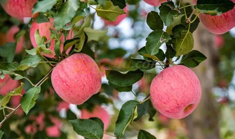 345yuio.jpg 345yuio.jpg