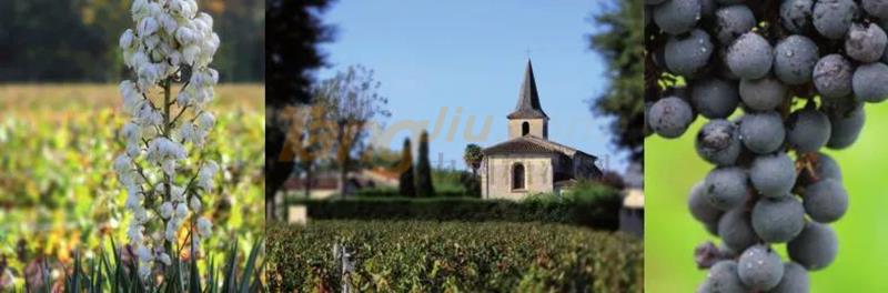 640 (3).jpg 640 (3).jpg