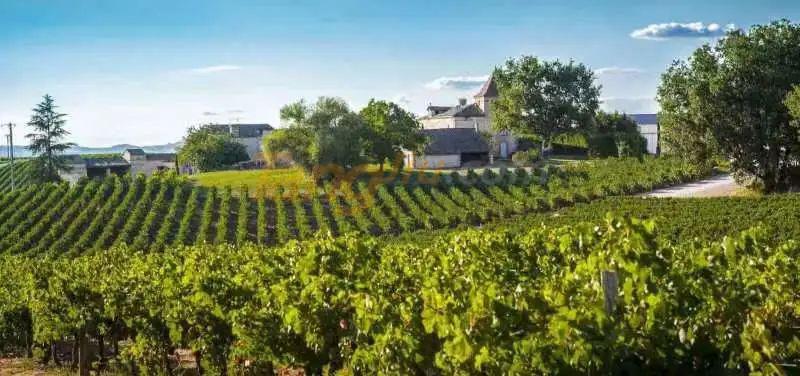 640 (6).jpg 640 (6).jpg