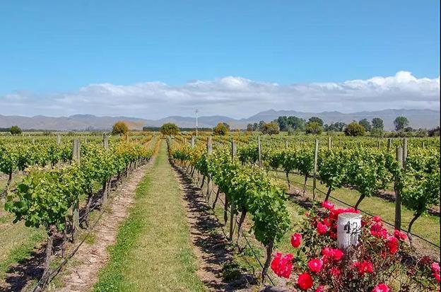 蘭好樂溪.jpg 蘭好樂溪.jpg