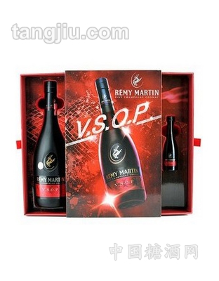 ���^�RVSOP�؃��㙉����