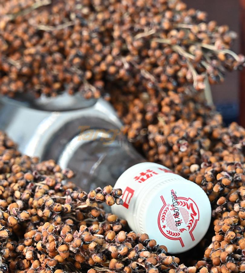 63793841463784513750599431111.jpg 63793841463784513750599431111.jpg