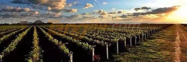 640.webp (9).jpg 640.webp (9).jpg