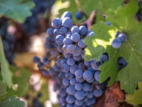 640.webp (8).jpg 640.webp (8).jpg