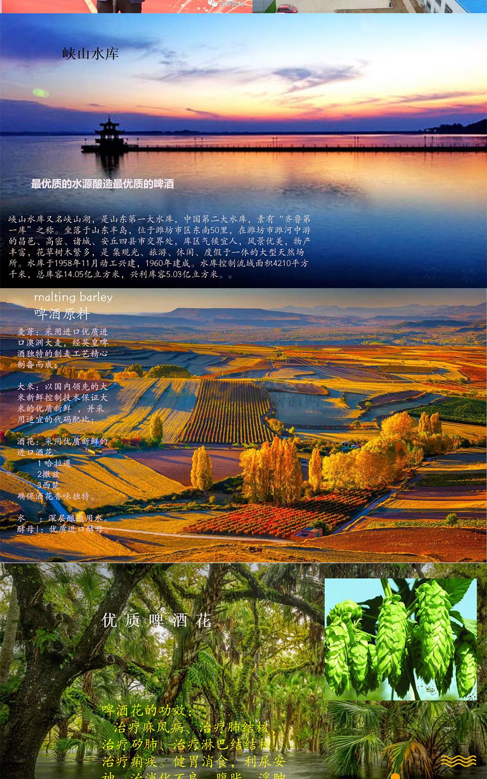 招商政策_02.jpg 招商政策_02.jpg