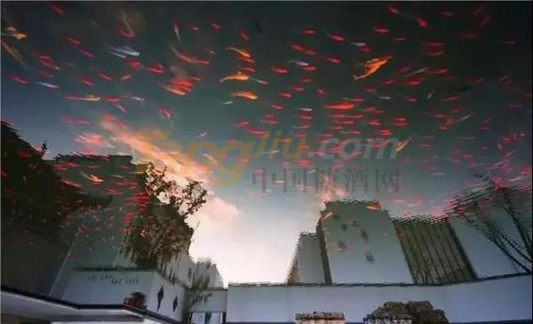 中貿酒博會5.jpg 中貿酒博會5.jpg