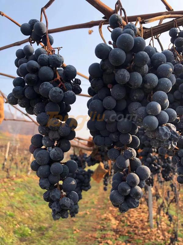 中貿酒博會1.jpg 中貿酒博會1.jpg