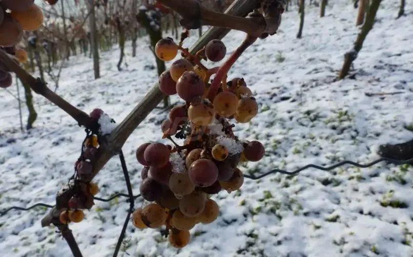 640 (4).jpg 640 (4).jpg