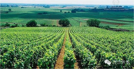 640 (1).jpg 640 (1).jpg