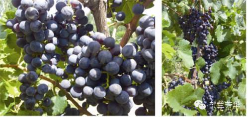 640 (2).jpg 640 (2).jpg