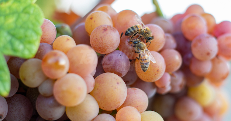 640 (1).png 640 (1).png