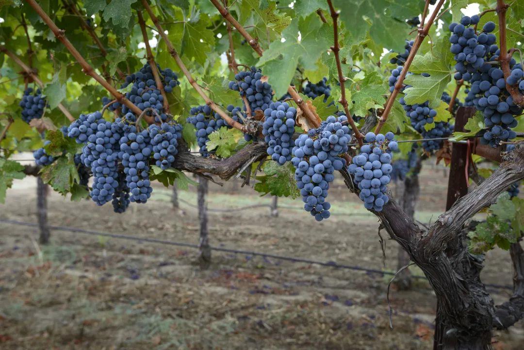 640 (2).jpg 640 (2).jpg