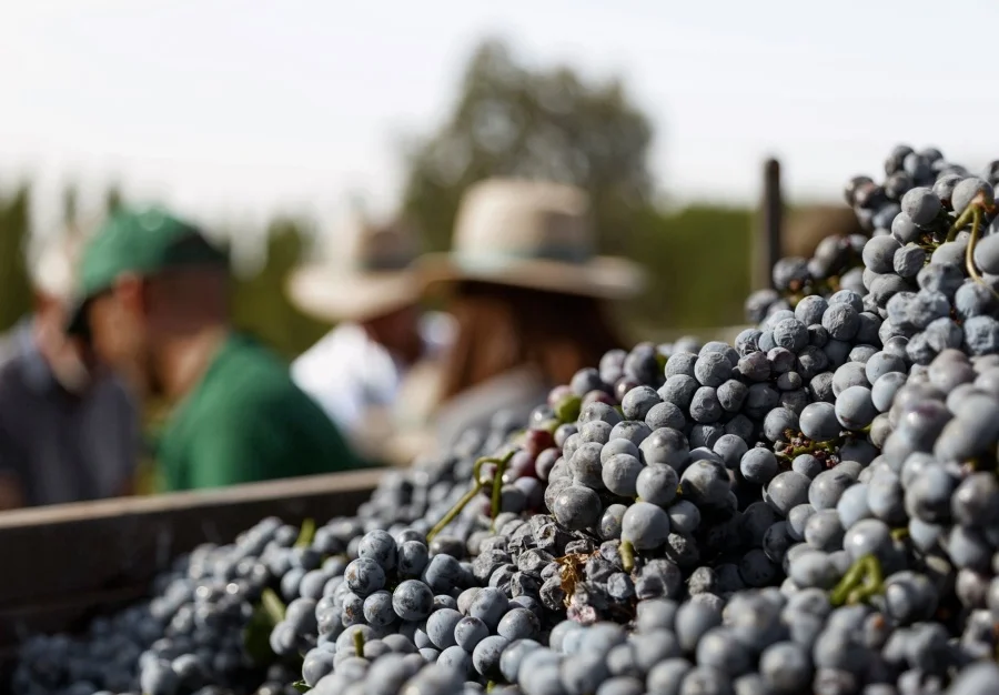 640 (3).png 640 (3).png